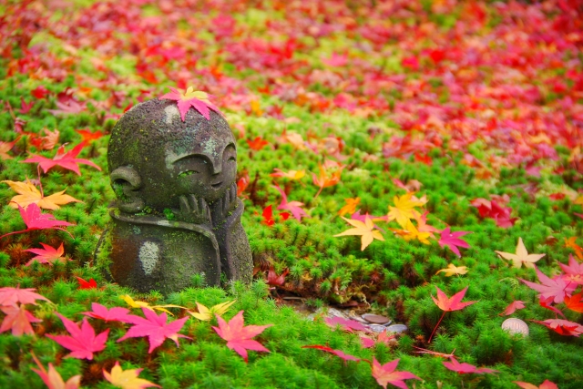 Autumn in Japan: 10 Best Things to Do in 2021