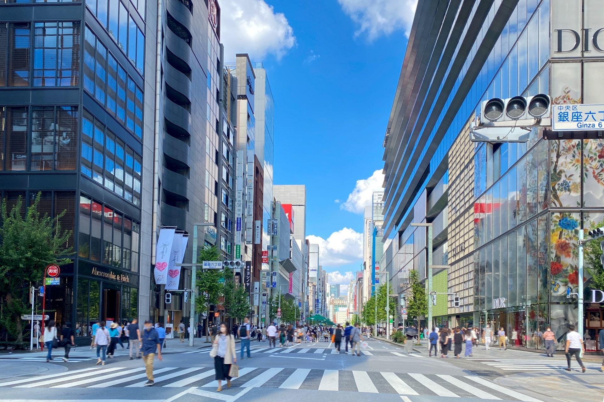 Ginza's Shopping Street